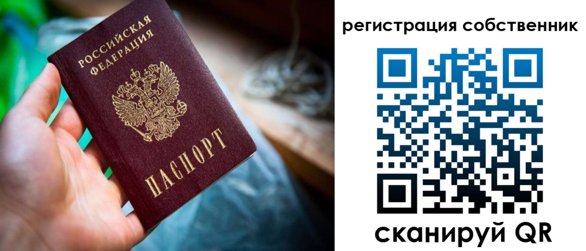 прописка гарантия в Касимове